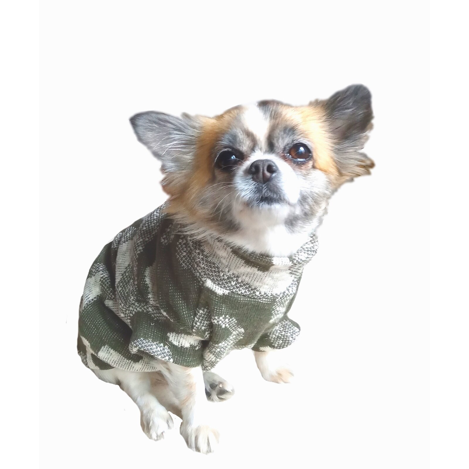 Pulover caini si pisici, model abstract, marime S ,23-26 cm