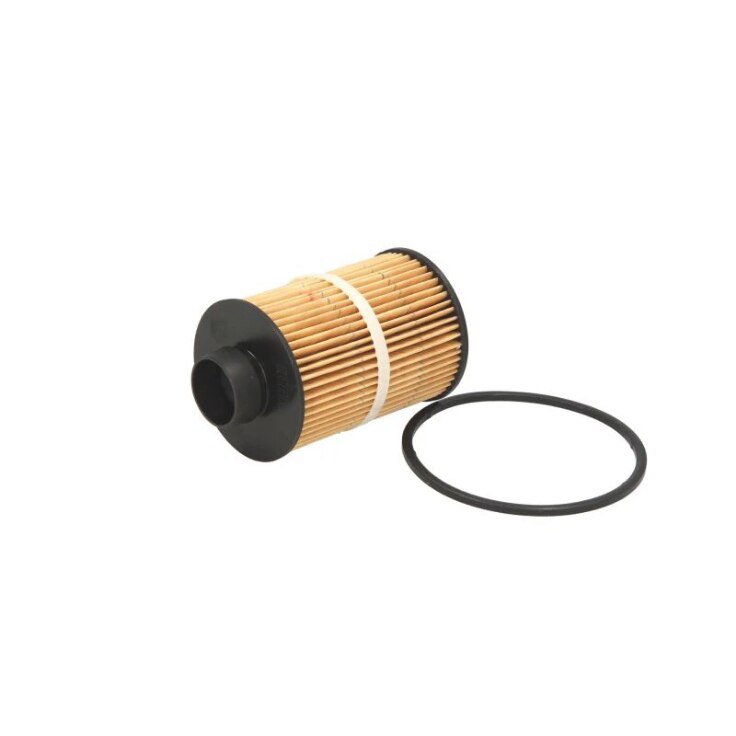 Filtru combustibil Fiat Ford