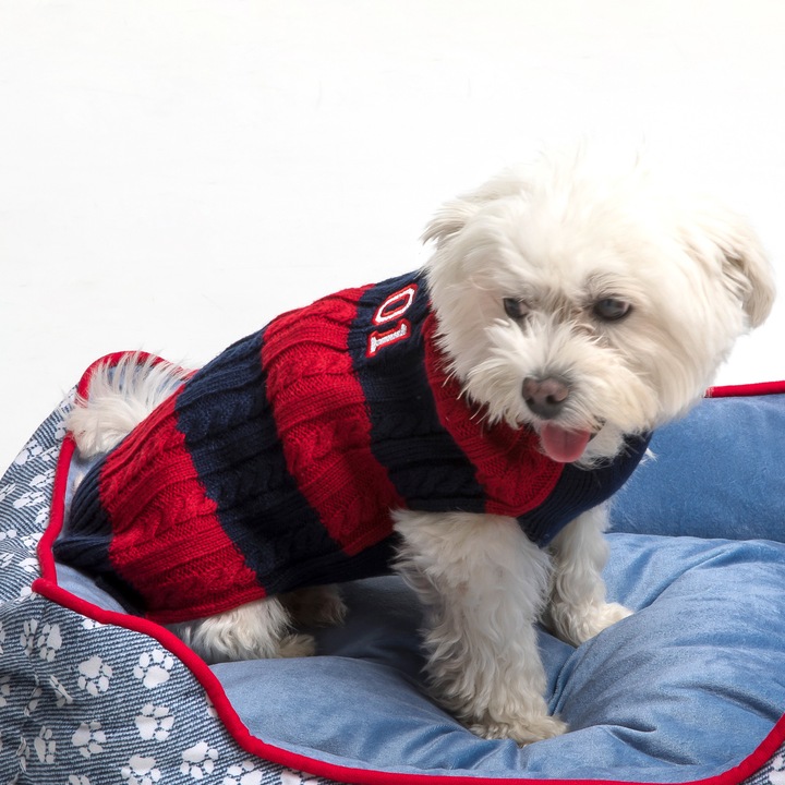 Cos caine diametrul 60 Cm Casual Unipersity