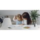 Reolink Argus 3 térfigyelő kamera napelemmel, újratölthető akkumulátorral, WIFI-vel, színes éjjellátóval és LED reflektorral, Micro SD kártya foglalattal, 1080p Full HD felbontással, mozgásérzékelővel