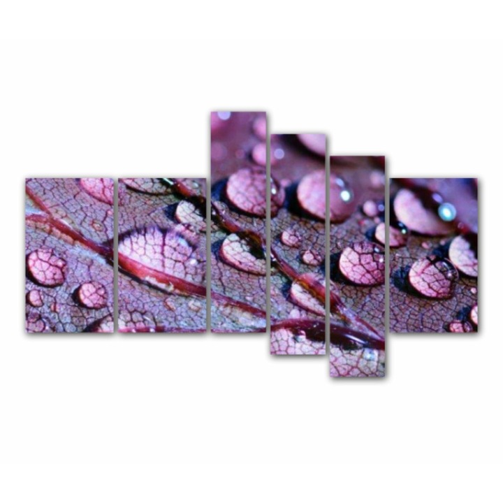 6 db-os Multicanvas festmény készlet, levelek vízzel 509, UV nyomattal PREMIUM COTTON vászonra (400 g/m2) és fa keretre feszítve (Profil 2X3,6cm), 195x120 cm