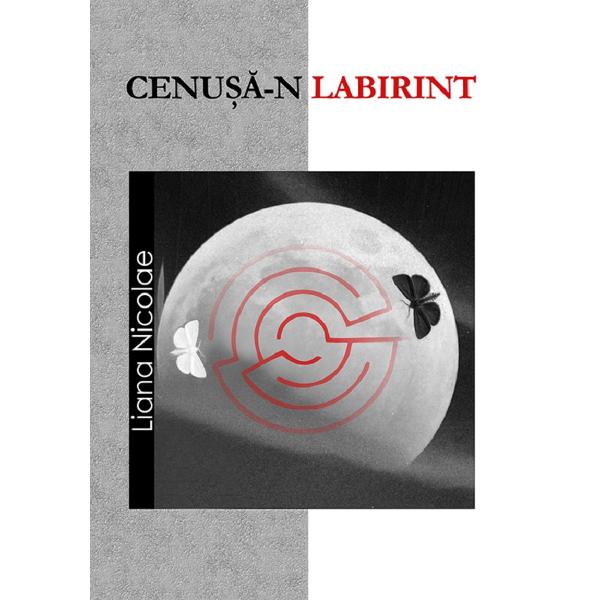 Cenusa-n labirint - Liana Nicolae