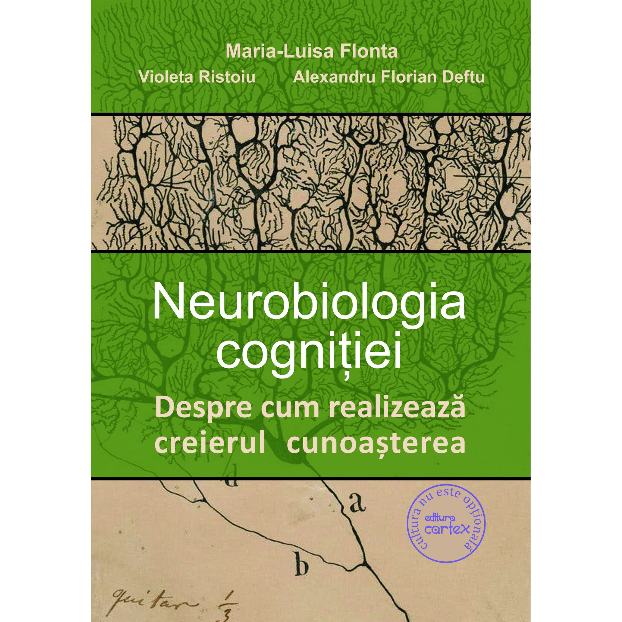 Neurobiologia cognitiei. Despre cum realizeaza creierul cunoasterea