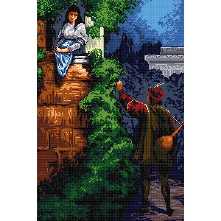 Goblen Romeo, Hudemas, kit cu diagrama alb-negru, cu fire mouline, 20x30cm