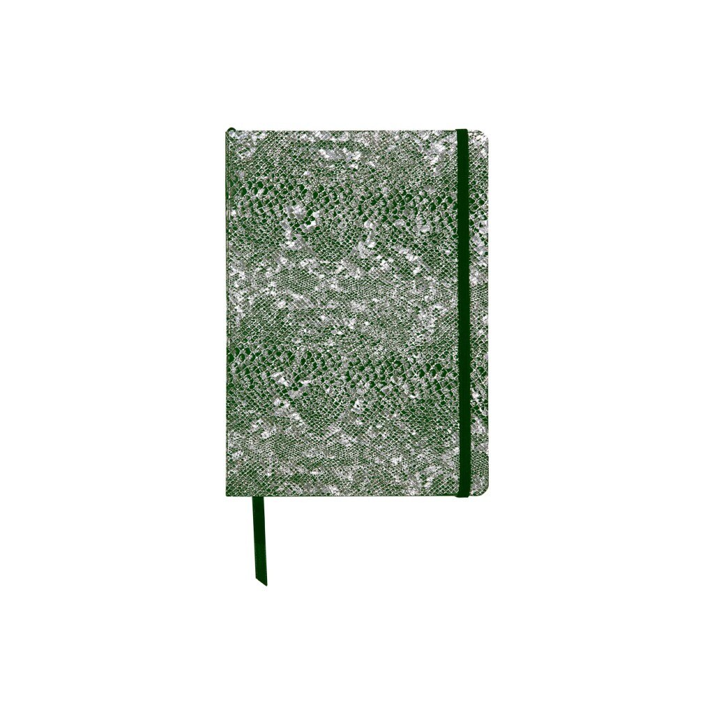 Notebook coperta tare piele, A5, 144 pagini, Clairefontaine Celeste, Verde