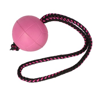 Minge plutitoare pentru caini DINGO, pentru dresaj, din cauciuc moale, cu maner, 'BIBI' ROZ 17251 Minge plutitoare pentru caini DINGO, pentru dresaj, din cauciuc moale, cu maner, 'BIBI' ROZ 17251