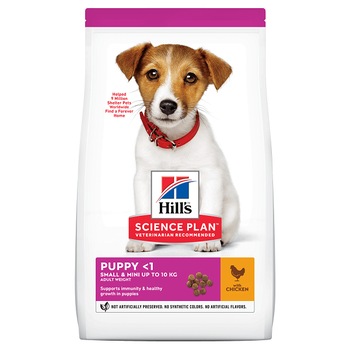 Hrana Uscata pentru Caini, Hill's SP Canine Puppy Small and Mini cu Pui, 6 kg Hrana Uscata pentru Caini, Hill's SP Canine Puppy Small and Mini cu Pui, 6 kg