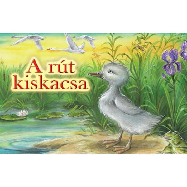 A rut kiskacsa. Ratusca cea urata