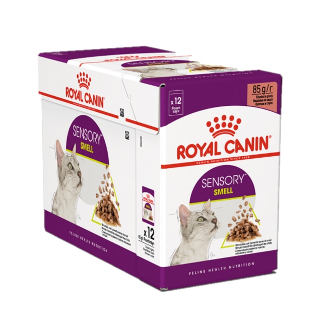 Set Hrana umeda pentru pisici Royal Canin, Sensory Smell in sos, 12x 85 g
