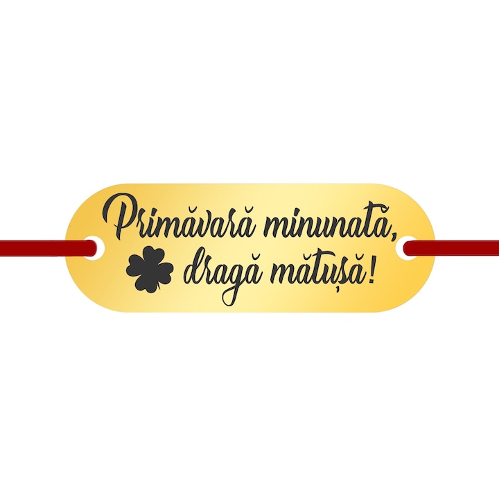 Martisor Bratara Inox Placuta Aurie Draga Matusa