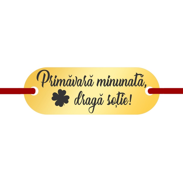 Martisor Bratara Inox Placuta Aurie Draga Sotie