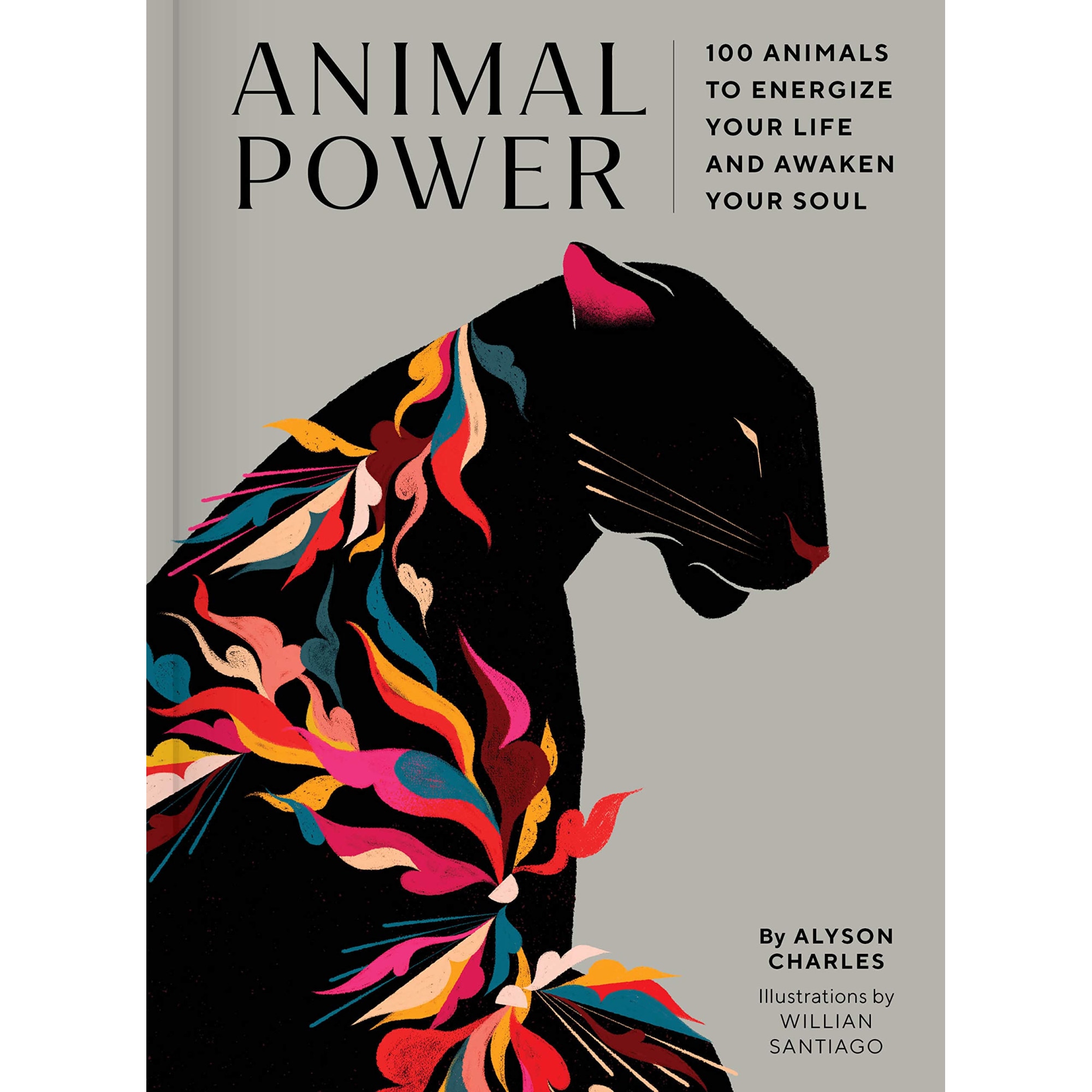 Animal Power - Alyson Charles