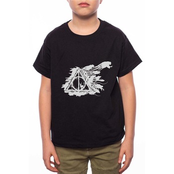 Tricou Baiat, Harry Potter - Deathly Hallows Harry Potter, 100% Bumbac, G228, Negru Tricou Baiat, Harry Potter - Deathly Hallows Harry Potter, 100% Bumbac, G228, Negru
