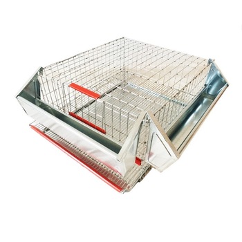 Cusca pentru prepelite ouatoare, 45x50x25 cm Cusca pentru prepelite ouatoare, 45x50x25 cm