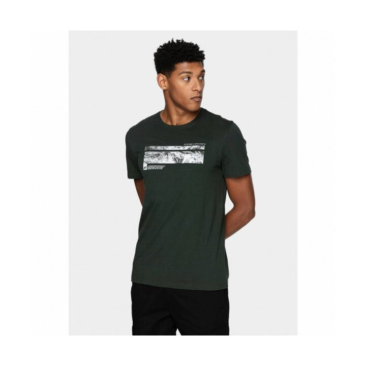 Tricou barbati cu imprimeu 4F, Bumbac, Verde