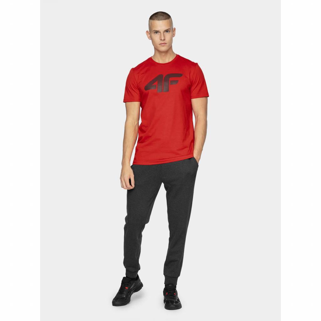 Pantaloni sport barbati 4F, Bumbac, Gri, XL