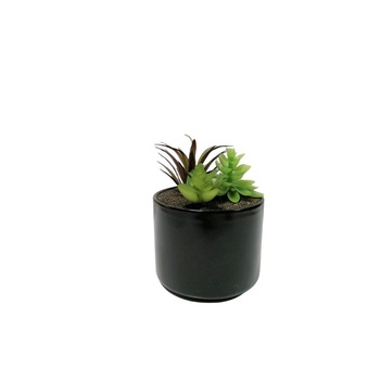 Imagini FLORAL 3 - Compara Preturi | 3CHEAPS