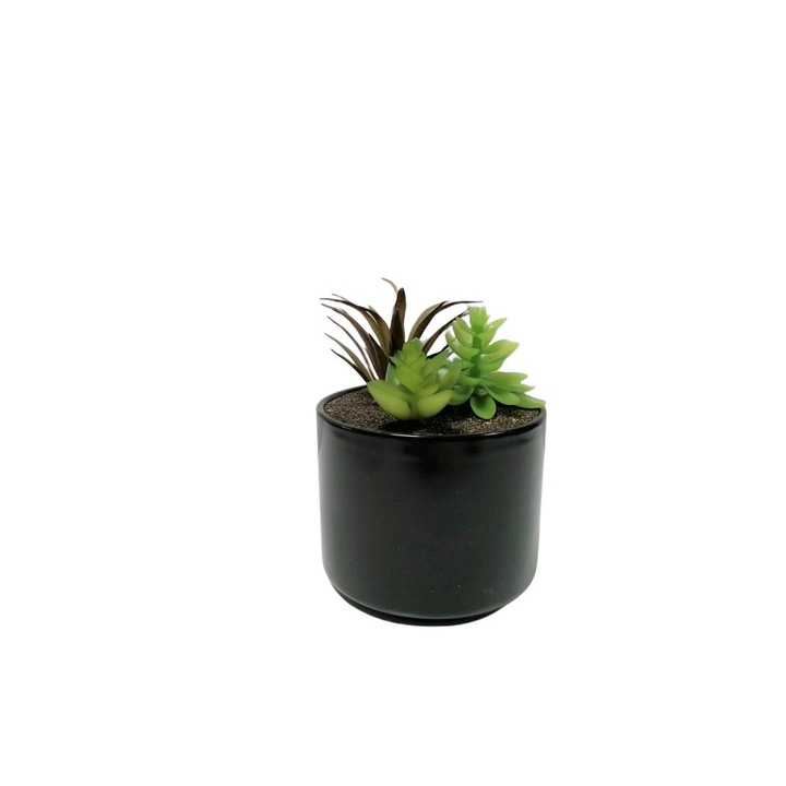 Plante suculente artificiale in ghiveci ceramic 13cm