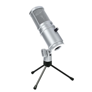 Have a picnic Larry Belmont inference Microfon Profesional de Studio Condenser Sound Recording Microphone - eMAG .ro