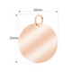 Martisor Pandantiv Inox Banut Rose Gold Nume Nico