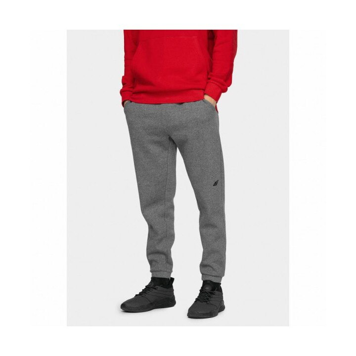Pantaloni sport barbati 4F, Bumbac, Gri, XL