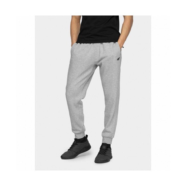 Pantaloni sport barbati 4F, Bumbac, Gri deschis, 2XL
