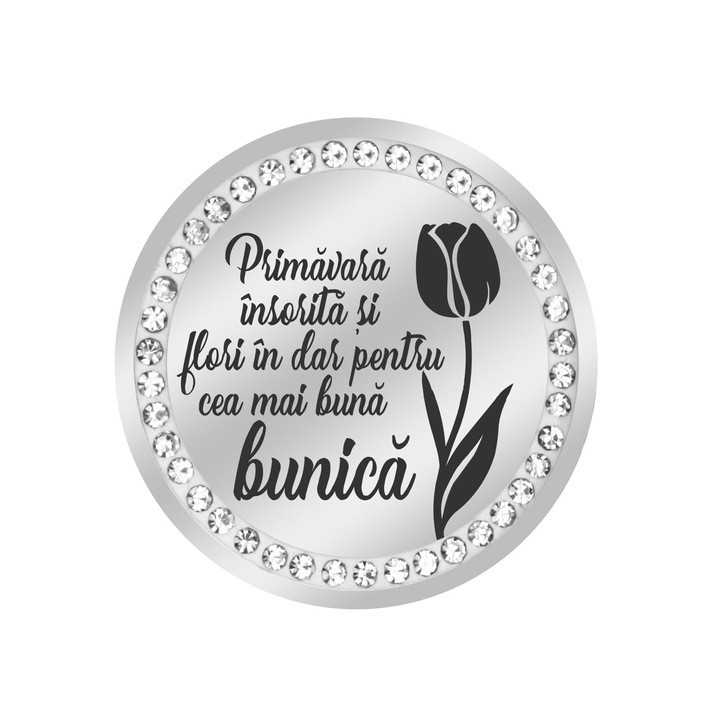 Martisor Brosa Inox Banut Pietre Mesaj Bunica Argintiu