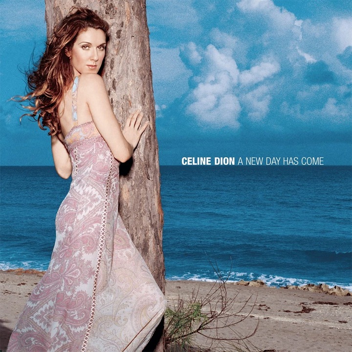 Céline Dion - A New Day Has Come - CD