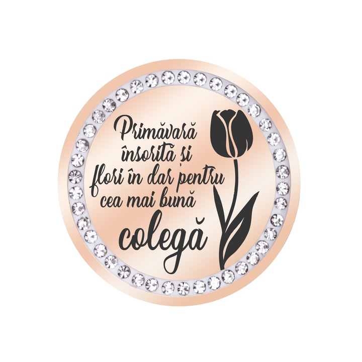 Martisor Brosa Inox Banut Pietre Mesaj Colega Rose Gold