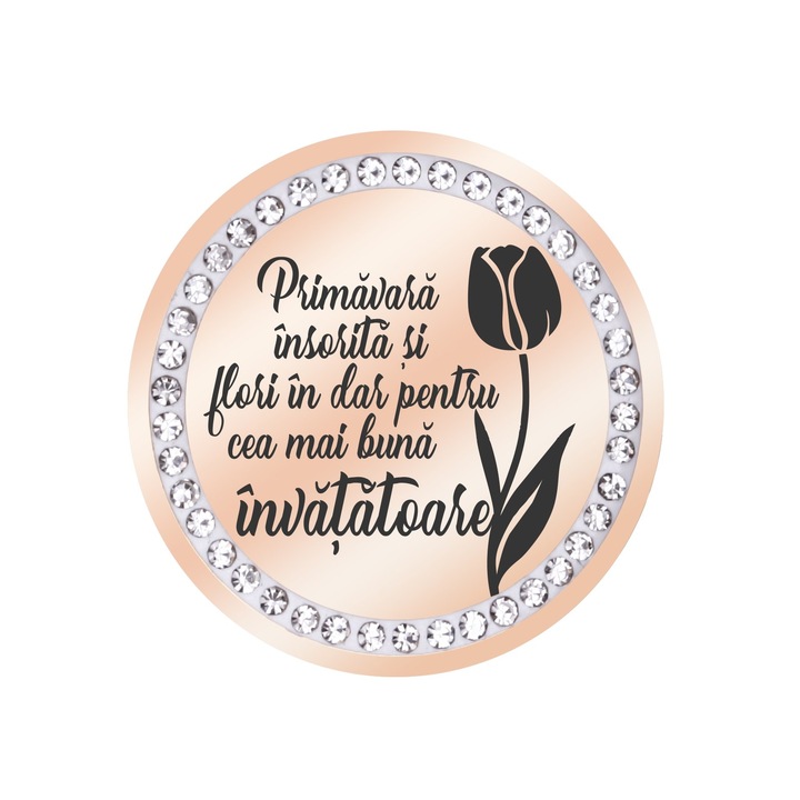 Martisor Brosa Inox Banut Pietre Mesaj Invatatoare Rose Gold