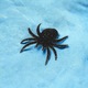Aplicatie termoadeziva cu sclipici, 3 x 3 cm, paianjen negru