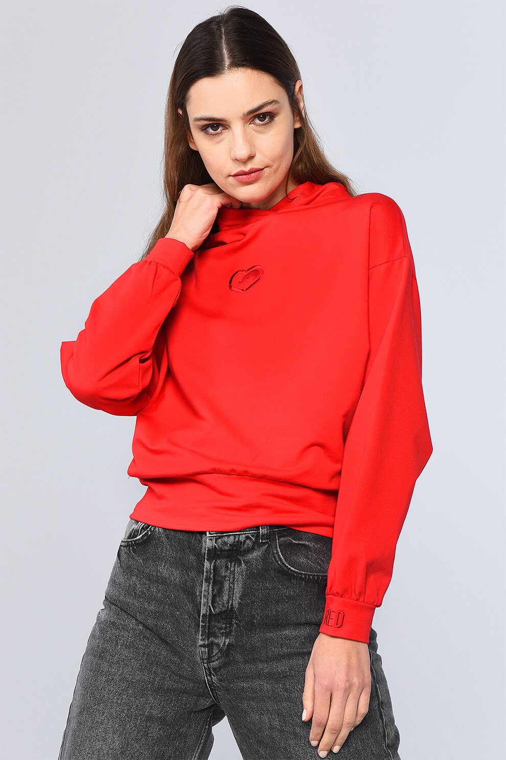 Ecko, Hanorac cu logo Houdson, Rosu