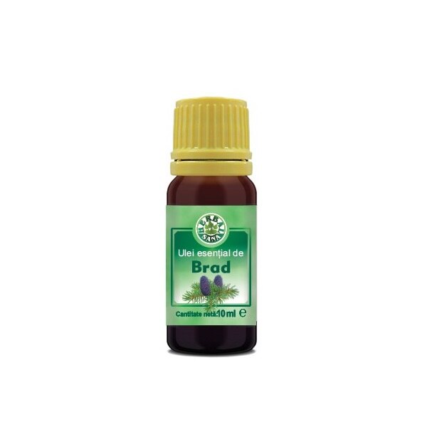 Ulei esential aromaterapie Herbal Sana, BRAD (Abies Sibirica), 100% natural si pur, 10 ml