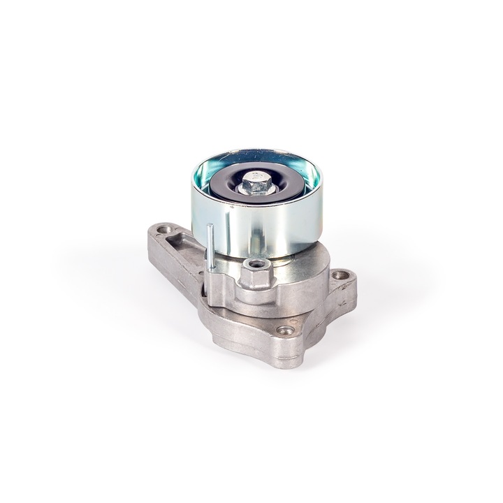 Intinzator curea, 320/08759