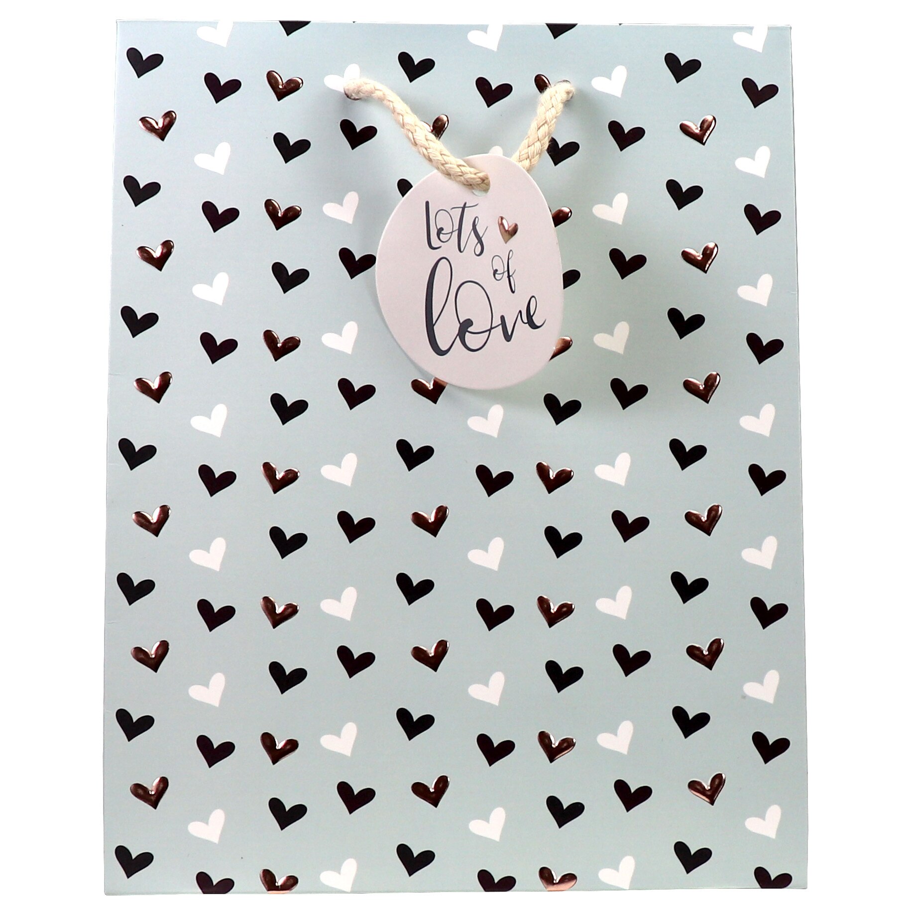 Punga de cadou medie - Hearts and Kisses, Cu model