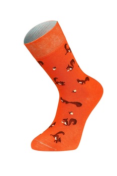 Sosete colorate haioase, Newtone, Fara cusatura, Model Veverita, 39-44 EU Sosete colorate haioase, Newtone, Fara cusatura, Model Veverita, 39-44 EU