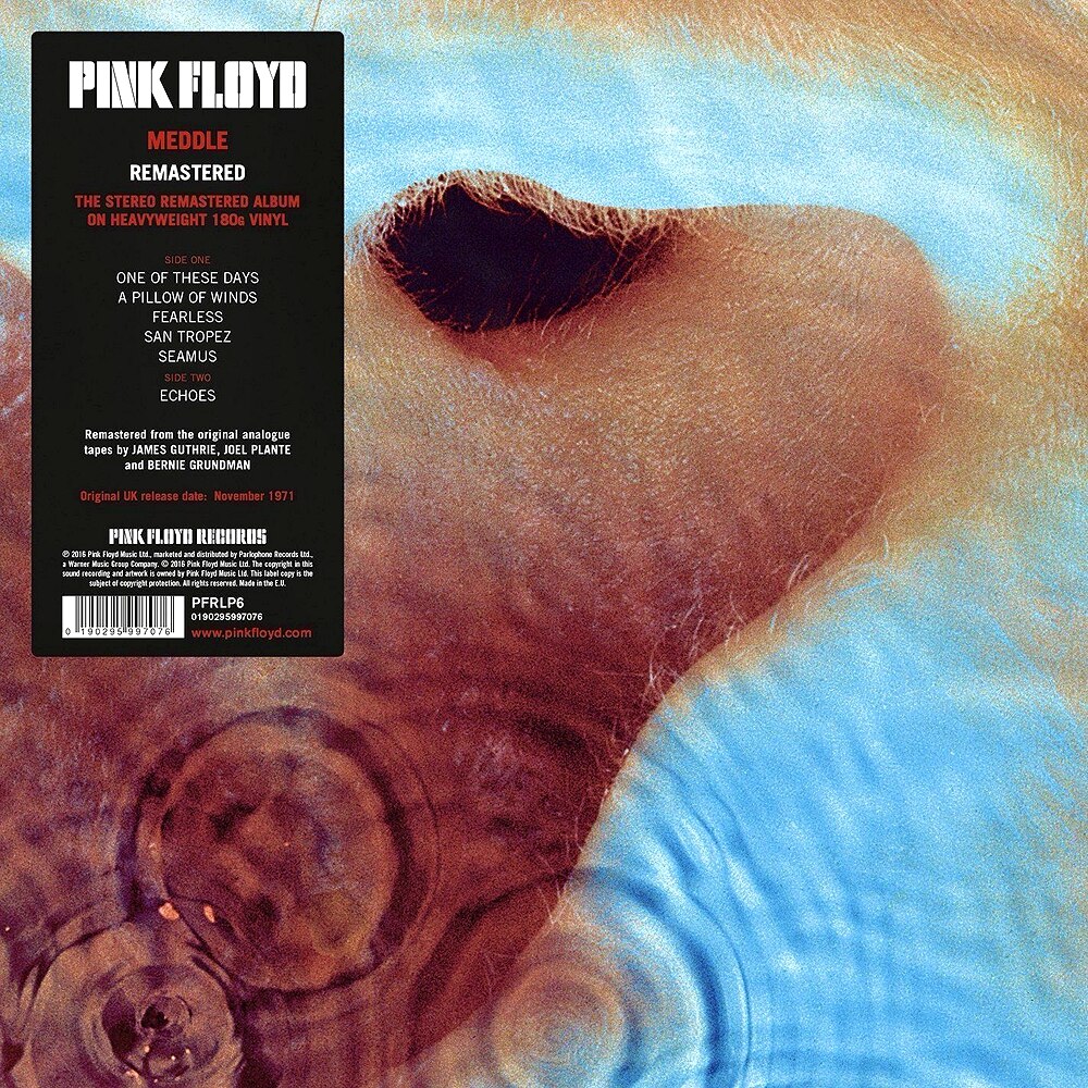 Pink Floyd / Meddle レコード Pink Floyd - Meddle [180g LP remastered] (vinyl) - eMAG.ro