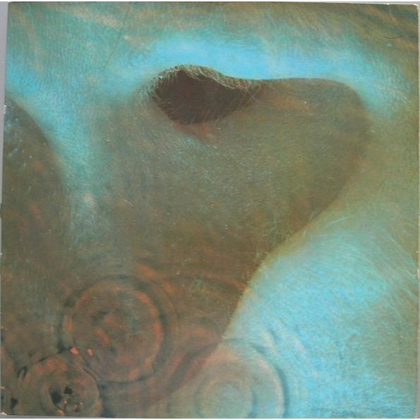 Pink Floyd - Meddle [180g LP remastered] (vinyl) - eMAG.ro