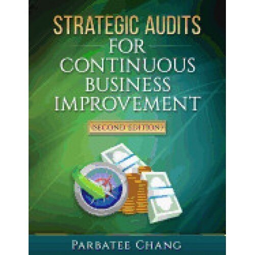 Strategic Audits for Continuous Business Improvement