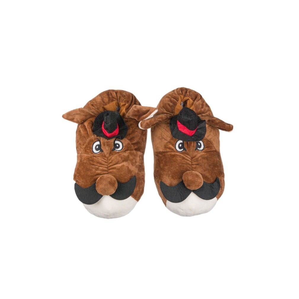 Botosi de casa maro , model caine , marime 40 - 42