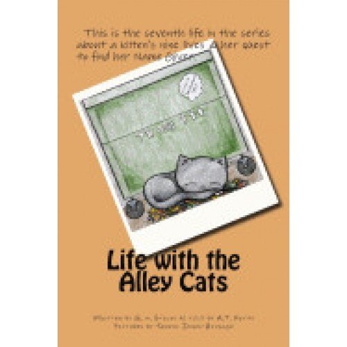 Life with the Alley Cats