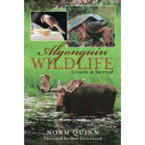 Algonquin Wildlife: Lessons in Survival