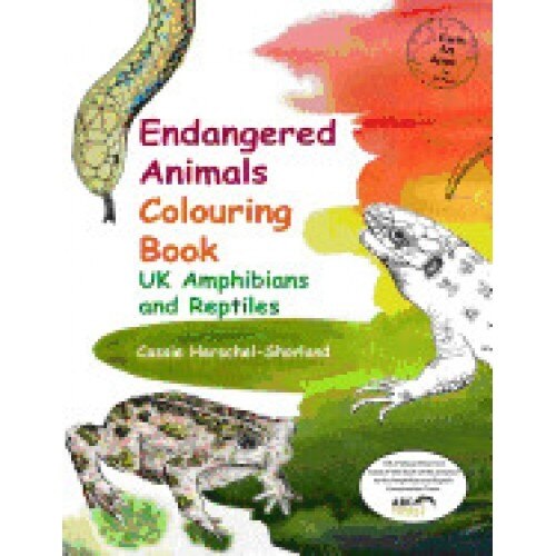 Endangered Animals Colouring Book: UK Amphibians and Reptiles