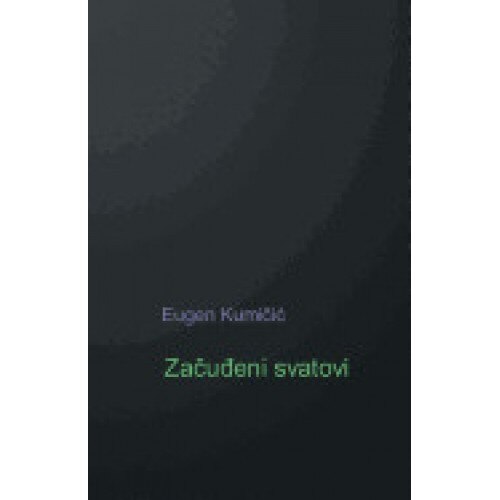 Zacudjeni Svatovi: Roman