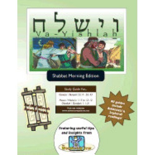 Bar/Bat Mitzvah Survival Guides: Va-Yishlah (Shabbat Am)