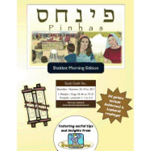 Bar/Bat Mitzvah Survival Guides: Pinhas (Shabbat Am)