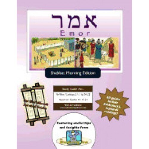 Bar/Bat Mitzvah Survival Guides: Emor (Shabbat Am)