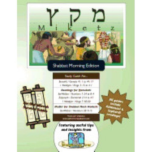 Bar/Bat Mitzvah Survival Guides: Miketz (Shabbat Am)