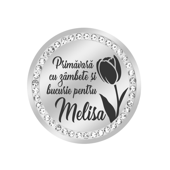 Martisor Brosa Inox Banut Pietre Nume Melisa Argintiu
