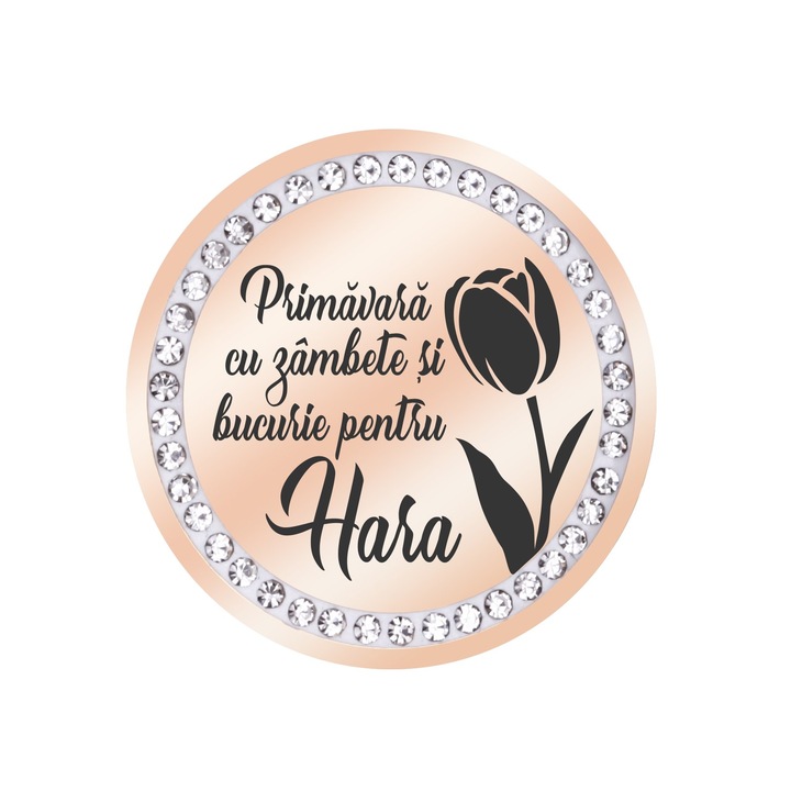 Martisor Brosa Inox Banut Pietre Nume Hara Rose Gold